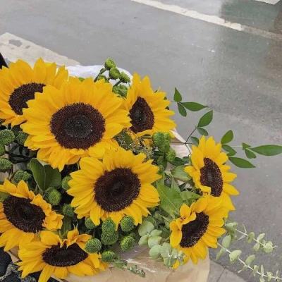 皇冠welcome下载手机app下载