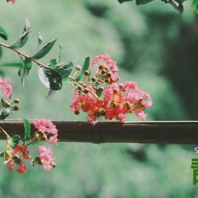 AG官方平台下载地址手机app下载截图