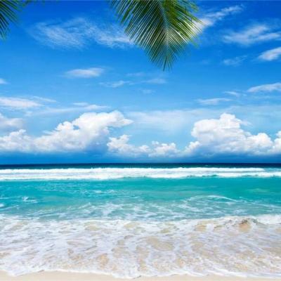 极速赛车游戏手机app下载