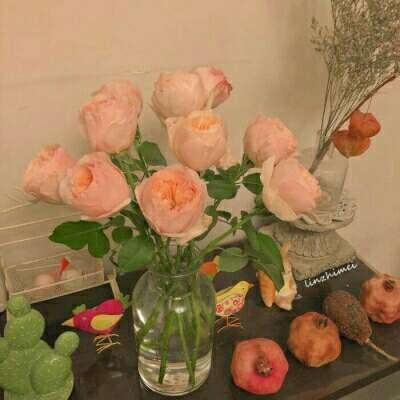 亚虎娱乐app下载手机app下载