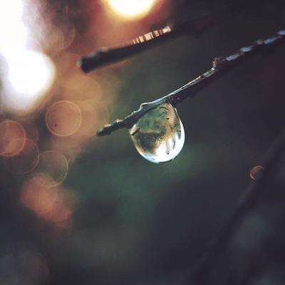 新188app官网下载